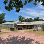 Kas met kopkas